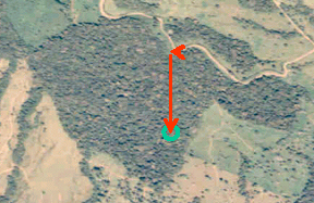 Figure 1. Locating the selected plot in the field.