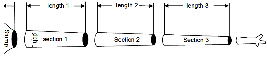 Figure 1 Subdivision of a stem into sections.