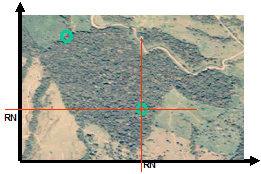 Figure 2. Allocating a sample plot randomly in the displayed forest patch.