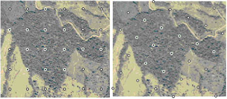 Figure 2 One and the same grid  randomly laid over the same area results in different numbers of sample  points inside the forest area.