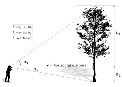 Tree height horizontal.png